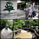 PEW: The Woodland Park Zoo