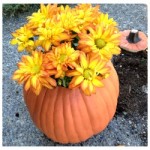 Episode 49: Flower Pot Pumpkins
