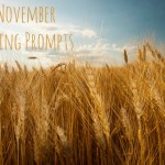 30 November Vlogging Prompts