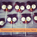Chocolate Covered Apple Owls