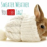 Sweater Weather YouTube Tag