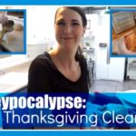 Turkeypocalypse: The Thanksgiving Cleanup