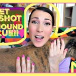 Vlogging Workshop: Our 6th Greyhound Foster!