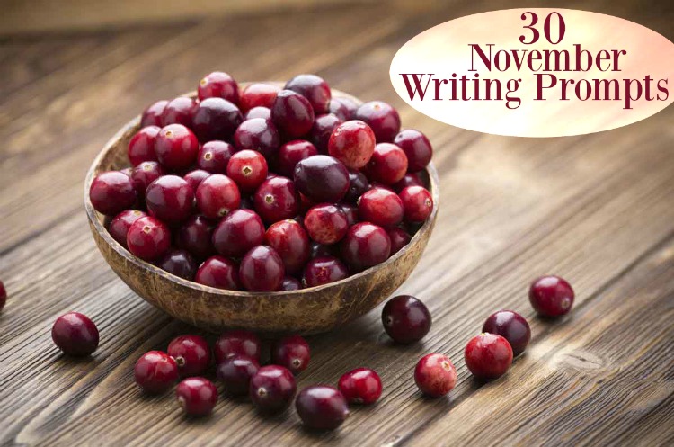 30-november-writing-prompts