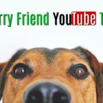 Furry Friend YouTube Tag