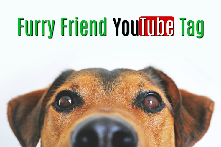 Furry Friend YouTube Tag « Youtube Tag « Mama's Losin' It!