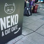 Neko’s Cat Cafe in Seattle